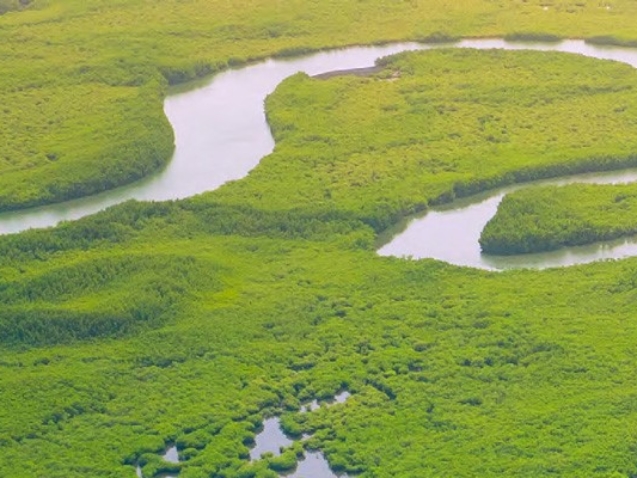 Clarification des droits : une étape nécessaire