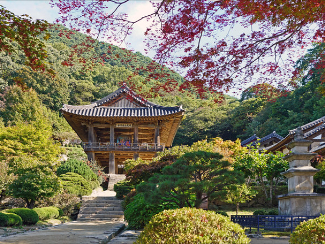 Coproduire avec la Corée du Sud