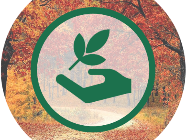 Ecologie et cinéma : le cadre administratif