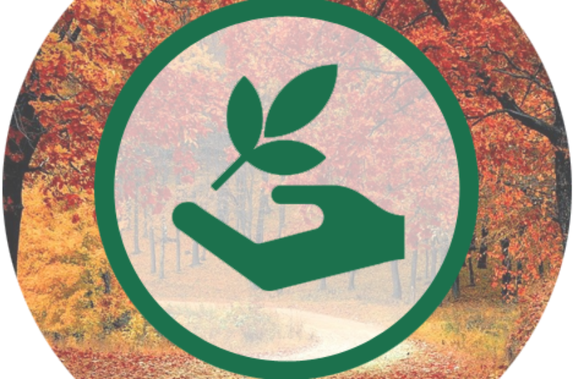 Ecologie et cinéma : le cadre administratif