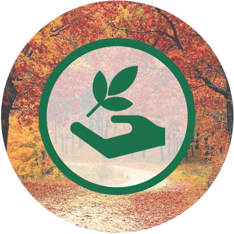 Ecologie et cinéma : le cadre administratif