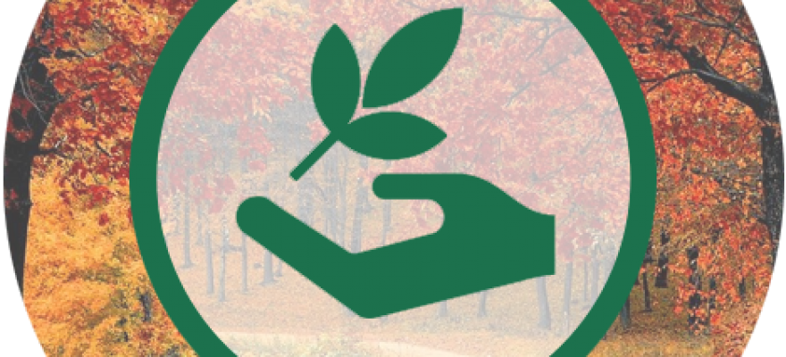 Ecologie et cinéma : le cadre administratif